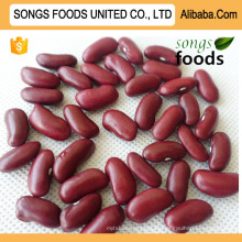 China Songs Foods Фасоль красная